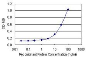 Detection limit for recombinant GST tagged HTRA3 is 1 ng/ml as a capture antibody. (HTRA3 抗体  (AA 344-453))