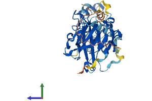 Protein Structure (PS) image for Programmed Cell Death 2 (PDCD2) (AA 1-343) protein (His tag) (ABIN7563279)