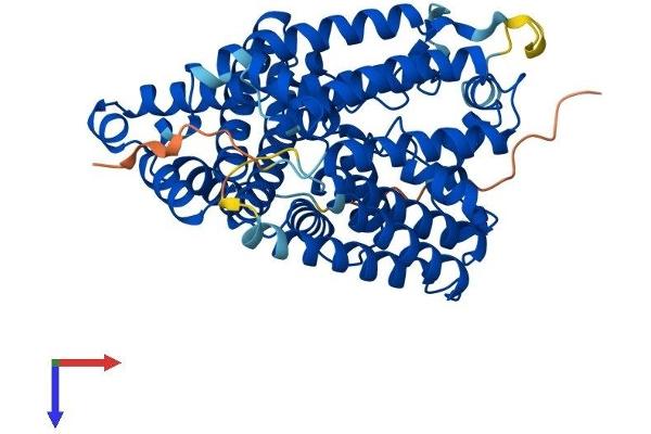 MBOAT1 Protein (AA 1-492) (His tag)