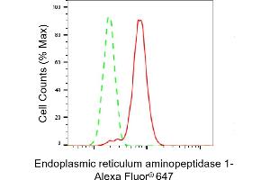 Flow cytometric analysis of Endoplasmic reticulum aminopeptidase 1 expression in HT- cells using Endoplasmic reticulum aminopeptidase 1 antibody (ABIN7798442), 1:2,000). (Recombinant ERAP1 抗体)