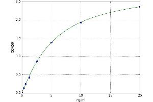 Cyclin-Dependent Kinase 2 (CDK2) ELISA Kit