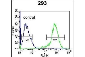 CDK8 Antibody (Center) (ABIN655911 and ABIN2845310) flow cytometric analysis of 293 cells (right histogram) compared to a negative control cell (left histogram). (CDK8 抗体  (AA 249-277))
