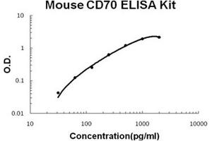 Mouse CD70/TNFSF7/cd27L PicoKine ELISA Kit standard curve (CD70 ELISA 试剂盒)