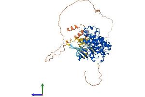 Protein Structure (PS) image for Cyclin-Dependent Kinase 17 (CDK17) (AA 1-523) protein (His tag) (ABIN7553062)