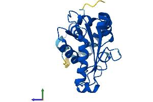AlphaFold protein structure predicition of Human Recombinant PMVK Protein, UniprotID Q15126