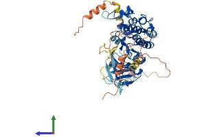 Protein Structure (PS) image for Mitogen-Activated Protein Kinase Kinase Kinase 8 (MAP3K8) (AA 1-467) protein (His tag) (ABIN7554447)