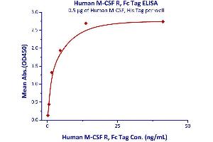 Image no. 2 for Colony Stimulating Factor 1 Receptor (CSF1R) (AA 20-512) (Active) protein (Fc Tag) (ABIN2180912)