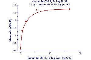 Measured by its binding ability in a functional ELISA. (CSF1R Protein (AA 20-512) (Fc Tag))