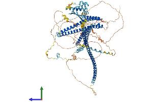 Protein Structure (PS) image for Junction Mediating and Regulatory Protein, P53 Cofactor (JMY) (AA 1-988) protein (His tag) (ABIN7554254)