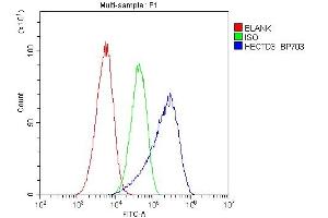 Flow Cytometry analysis of A549 cells using anti-HECTD3 antibody (ABIN6719595). (HECTD3 抗体)