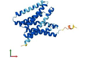 Protein Structure (PS) image for Solute Carrier Family 50 (Sugar Transporter), Member 1 (RAG1AP1) (AA 1-221) protein (His tag) (ABIN7546486)