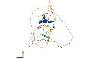 Protein Structure (PS) image for SRY (Sex Determining Region Y)-Box 7 (SOX7) (AA 1-380) protein (His tag) (ABIN7563214)