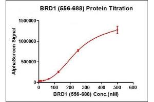 Recombinant BRD1 (556-688) activity using AlphaScreen.