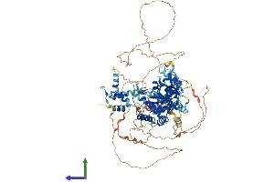 Protein Structure (PS) image for OTU Domain Containing 7B (OTUD7B) (AA 1-843) protein (His tag) (ABIN7554863)