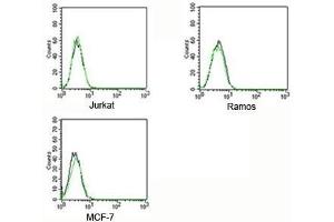 FACS testing of Rabbit IgG isotype control antibody FITC conjugate on human samples. (兔 IgG isotype control (FITC))