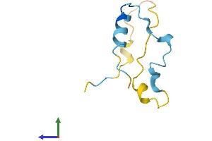 Protein Structure (PS) image for Calcium/calmodulin-Dependent Protein Kinase II Inhibitor 1 (CAMK2N1) (AA 1-78) protein (Fc Tag) (ABIN7558097)