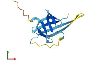 AlphaFold protein structure predicition of Mouse Recombinant Tcl1b1 Protein, UniprotID P56840