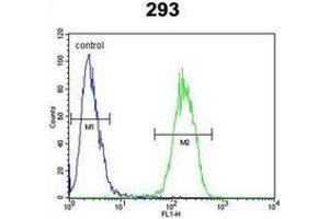 Flow cytometric analysis of 293 cells using Interleukin-17F / IL17F Antibody (N-term) Cat. (IL17F 抗体  (N-Term))