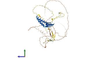 Protein Structure (PS) image for General Transcription Factor IIA, 1-Like (GTF2A1L) (AA 1-468) protein (His tag) (ABIN7559763)