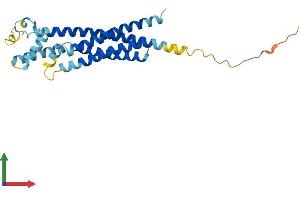 Protein Structure (PS) image for Tetraspanin 32 (TSPAN32) (AA 1-256) protein (His tag) (ABIN7561502)