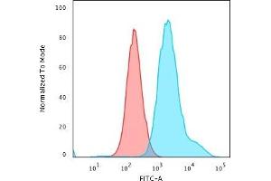 Flow Cytometric Analysis of PFA-fixed HeLa cells using Cytokeratin 7 Rabbit Recombinant MAb (KRT7/1499R) followed by Goat anti-rabbit IgG-CF488 (Blue); Isotype Control (Red) (Cytokeratin 7 抗体)