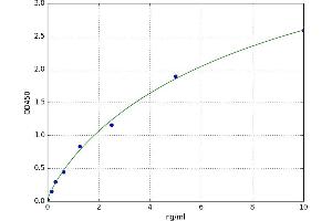 A typical standard curve