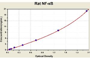Diagramm of the ELISA kit to detect Rat NF-? (NFKB1 ELISA 试剂盒)