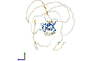 Protein Structure (PS) image for Forkhead Box F2 (FOXF2) (AA 1-444) protein (His tag) (ABIN7547745)