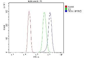 Flow Cytometry analysis of MCF-7 cells using anti-Peroxiredoxin 4 antibody (ABIN3043905).