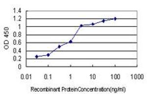 Detection limit for recombinant GST tagged ICOSLG is approximately 0. (ICOSLG 抗体  (AA 20-302))