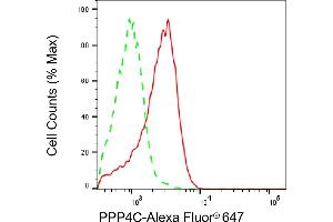 anti-Protein Phosphatase 4, Catalytic Subunit (PPP4C) antibody