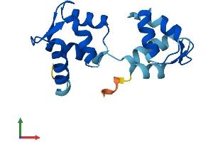 Protein Structure (PS) image for Calmodulin-Like 4 (CALML4) (AA 1-153) protein (His tag) (ABIN7560052)