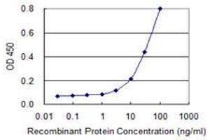 Detection limit for recombinant GST tagged SMCP is 1 ng/ml as a capture antibody. (SMCP 抗体  (AA 1-116))