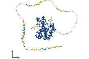 AlphaFold protein structure predicition of Human Recombinant HS3ST4 Protein, UniprotID Q9Y661