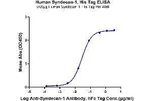 Immobilized Human Syndecan-1, His Tag at 0. (Syndecan 1 Protein (SDC1) (AA 23-254) (His tag))