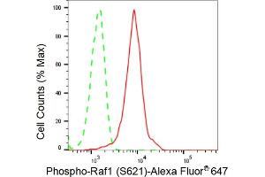 Flow cytometric analysis of Phospho-Raf1 (S621) expression in HeLa cells using Phospho-Raf1 (S621) antibody (ABIN7800799), 1:2,000). (Recombinant RAF1 抗体  (pSer621))