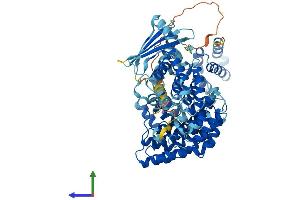 Protein Structure (PS) image for Adaptor-Related Protein Complex 4, beta 1 Subunit (AP4B1) (AA 1-738) protein (His tag) (ABIN7556306)
