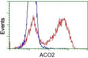 Image no. 2 for anti-Aconitase 2, Mitochondrial (ACO2) antibody (ABIN1496411) (ACO2 抗体)