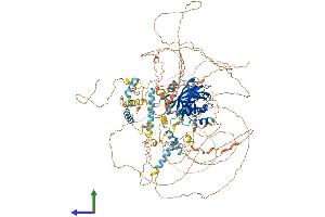Protein Structure (PS) image for Period Circadian Protein 2 (PER2) (AA 1-1255) protein (His tag) (ABIN7554921)
