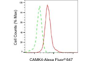 Flow cytometric analysis of CAMK4 expression in HepG2 cells using CAMK4 antibody (ABIN7797838), 1:2,000). (Recombinant CAMK4 抗体)