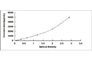 Typical standard curve