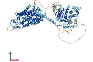 Protein Structure (PS) image for Solute Carrier Family 12 (Sodium/Chloride Transporters), Member 3 (SLC12A3) (AA 1-1002) protein (His tag) (ABIN7563475)