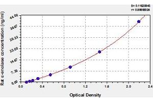 Typical Standard Curve (ENO1 ELISA 试剂盒)