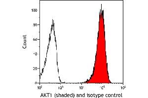 Flow Cytometry (FACS) image for anti-V-Akt Murine Thymoma Viral Oncogene Homolog 1 (AKT1) (AA 100-150) antibody (ABIN7795633)