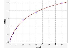 Fibrillin 2 ELISA 试剂盒