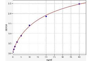 Typical standard curve (Fibrillin 2 ELISA 试剂盒)