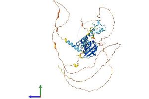 Protein Structure (PS) image for CCR4-NOT Transcription Complex Subunit 4 (CNOT4) (AA 1-575) protein (His tag) (ABIN7558866)
