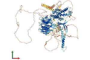 Protein Structure (PS) image for rho Guanine Nucleotide Exchange Factor (GEF) 10-Like (ARHGEF10L) (AA 1-1280) protein (His tag) (ABIN7561968)