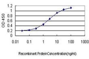 Detection limit for recombinant GST tagged SNX1 is approximately 0. (Sorting Nexin 1 抗体  (AA 166-275))