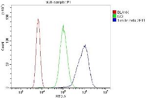 Flow Cytometry analysis of U937 cells using anti-Tubulin beta antibody (ABIN7602744).